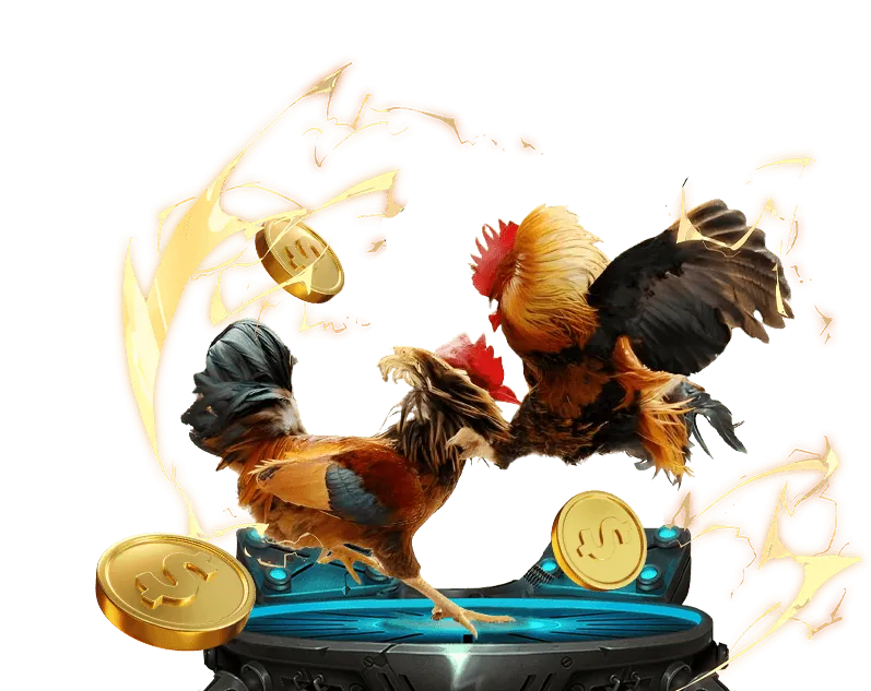 Đá gà trực tiếp tại TOT88 với các trận đấu kịch tính